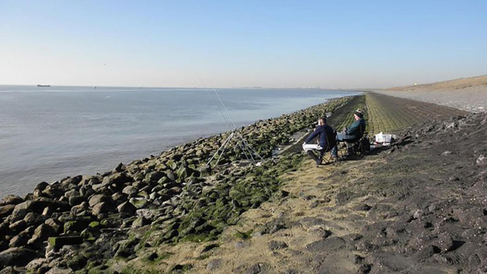 Residentie Oosterschelde Ξενοδοχείο Sint Philipsland Εξωτερικό φωτογραφία