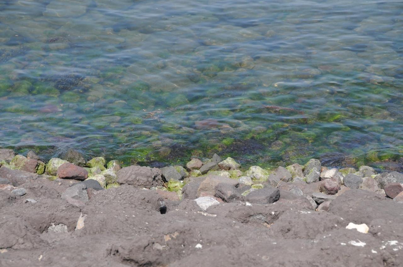 Residentie Oosterschelde Ξενοδοχείο Sint Philipsland Εξωτερικό φωτογραφία